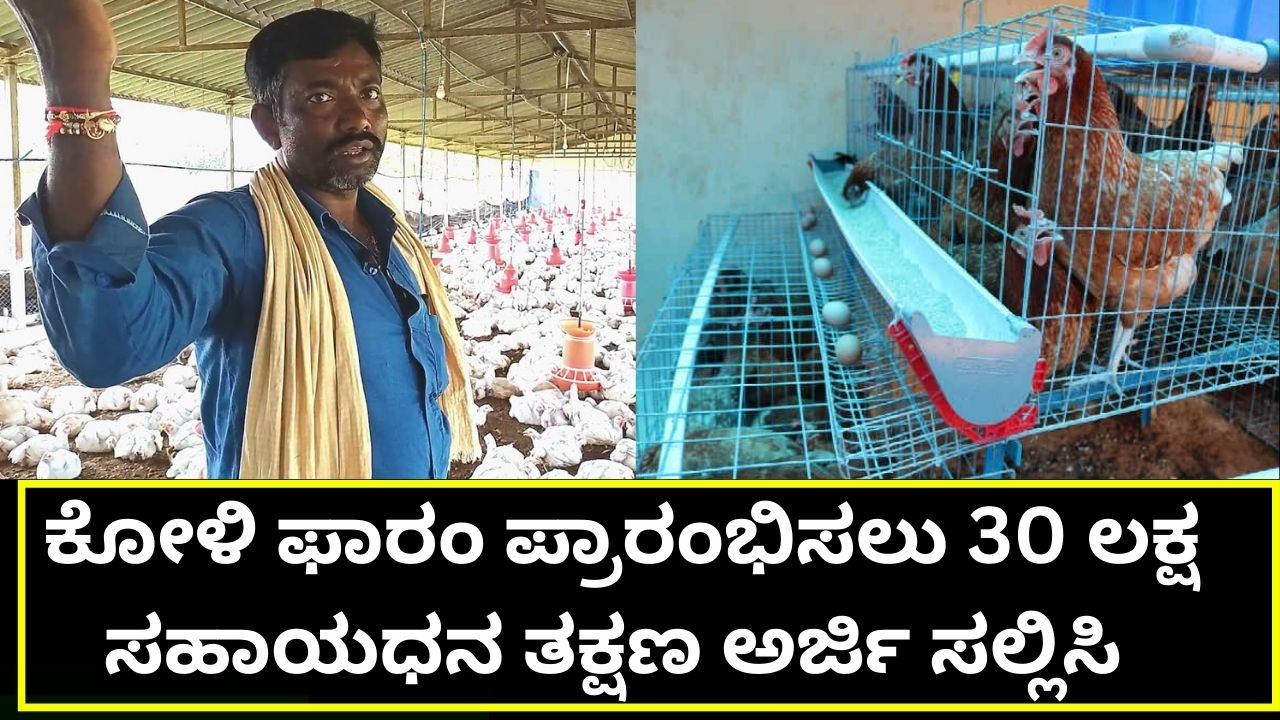 30 lakh subsidy to start poultry farm from the government