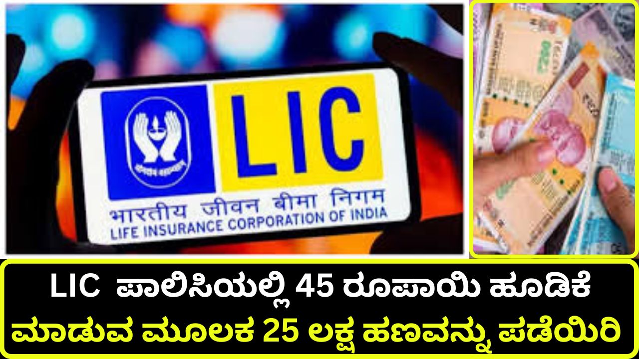 25 lakhs by investing Rs 45 in LIC policy